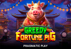 Greedy Fortune Pig