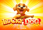 Lucky Dog