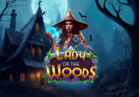 Lady Of The Woods