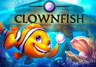 Clown Fish