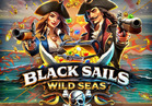 Black Sails Wild Seas™