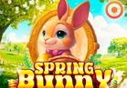 Spring Bunny