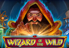 Wizard of the Wild