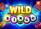Wild Bingo