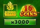 16 Coins™ Burning Board™