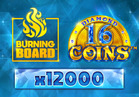 16 Coins™ Diamond Burning Board™