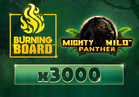 Mighty Wild™: Panther Burning Board™