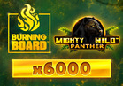 Mighty Wild™: Panther Gold Burning Board™
