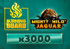 Mighty Wild™: Jaguar Burning Board™