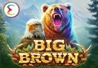 Big Brown