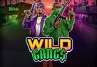 Wild Gangs