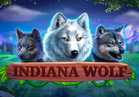 Indiana Wolf