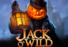 Jack O'Wild