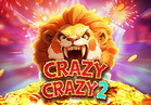 Crazy Crazy 2