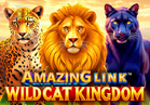 Amazing Link™ WildCat Kingdom
