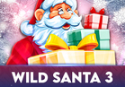 Wild Santa 3