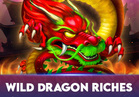Wild Dragon Riches