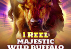 1 Reel - Majestic Wild Buffalo