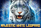 Majestic White Leopard
