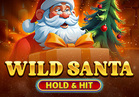 Wild Santa - Hold & Hit