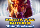 Majestic Wild Buffalo - Winter Wonderland