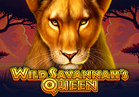 Wild Savannah's Queen